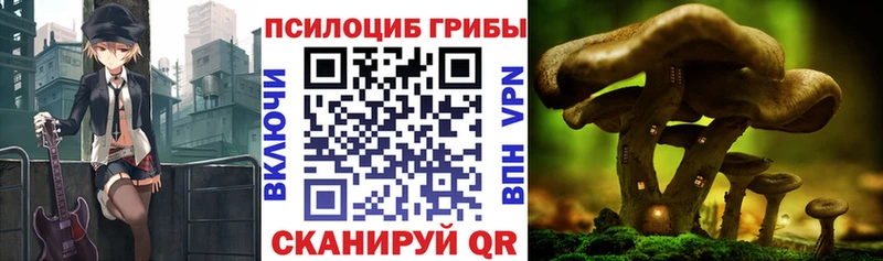 цена наркотик  Суздаль  ссылка на мегу ссылки  Галлюциногенные грибы мицелий 